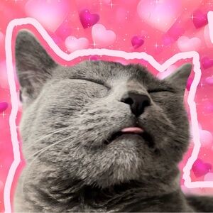 LIKE THIS LISTING TO BE NOTIFIED FOR FUTURE SHOWS 💕KC LIVE SHOW💕